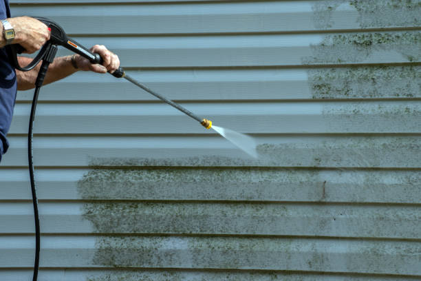 Best Pressure Washing Near Me  in Hazel Crest, IL