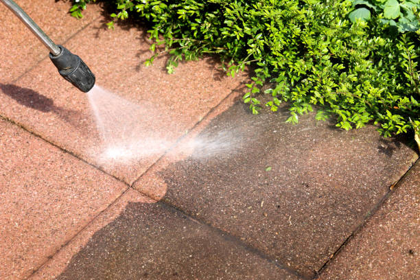 Best House Pressure Washing  in Hazel Crest, IL